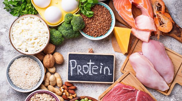 foods are high in protein